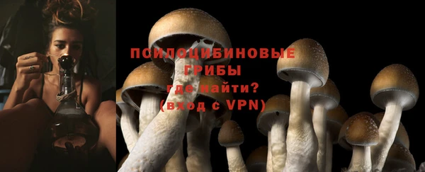 каннабис Богданович