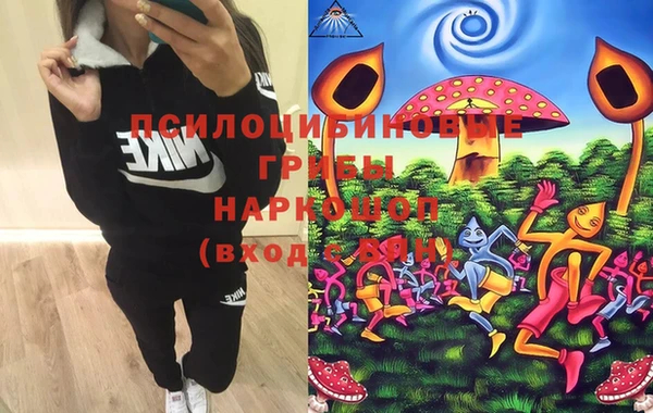 mdma Богородицк